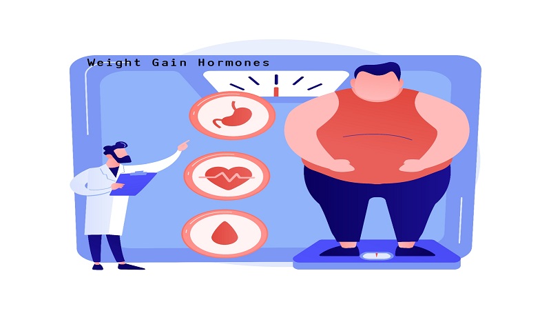 11 Hormones That Cause Weight Gain – and How to Improve Them