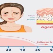 The Role of Collagen in Skin Elasticity and How to Boost It Naturally During Weight Loss