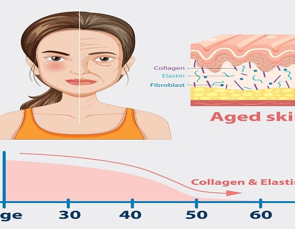 The Role of Collagen in Skin Elasticity and How to Boost It Naturally During Weight Loss
